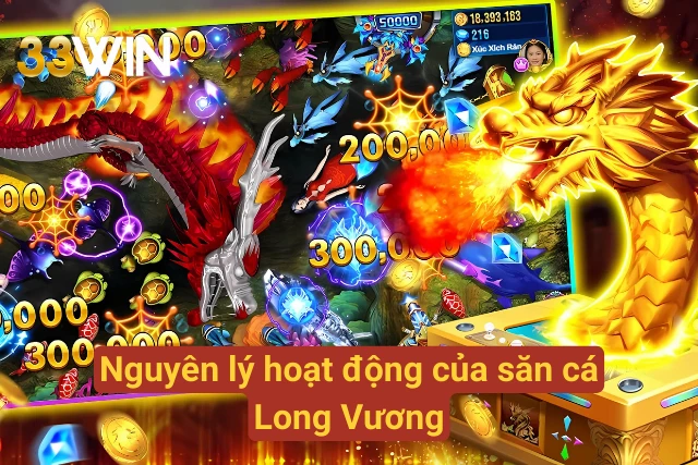 Quy luật săn cá tại Long Cung
