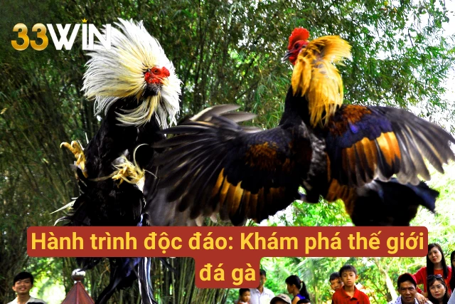 Hành trình khám phá độc đáo thế giới đá gà