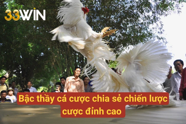 Cẩm nang cược thông minh từ cao thủ