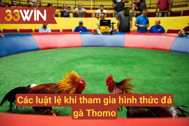 Luật lệ của đá gà